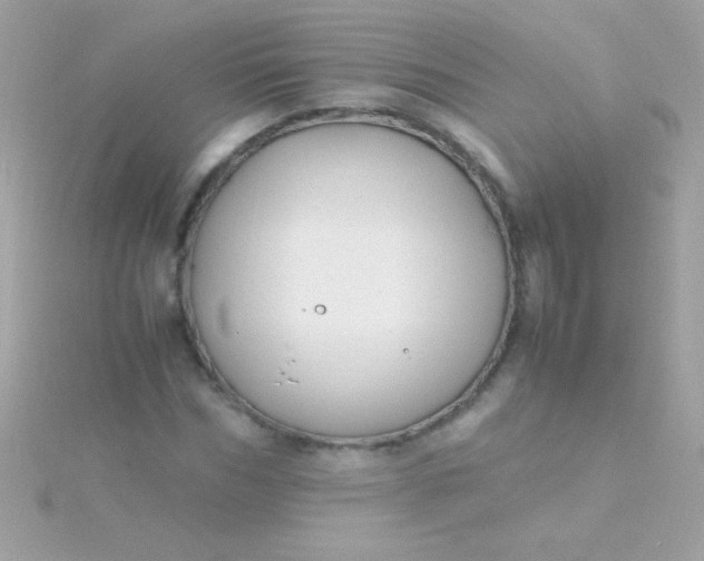 X0000115740970200911251956