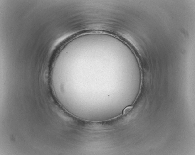 X0000115740971200911251956