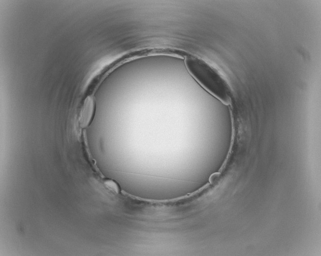 X0000115740973200911251956