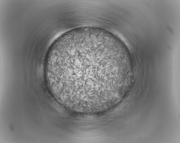 X0000115740975200911251956