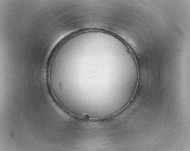 X0000115740976200911251956