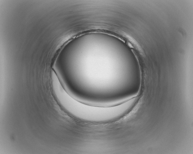 X0000115740977200911251956