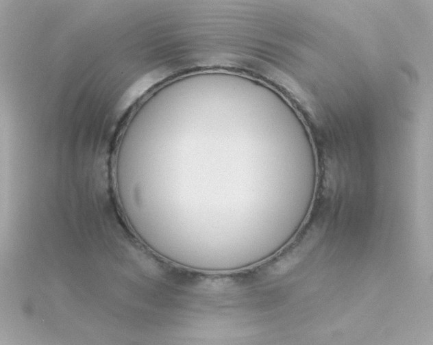 X0000115740978200911251956