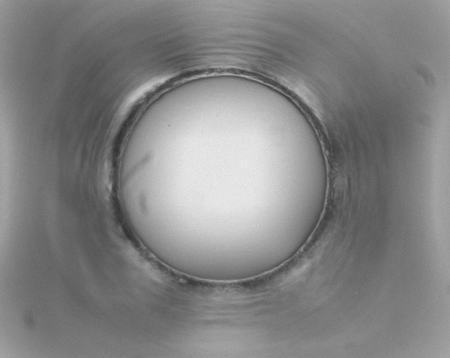 X0000115740979200911251956