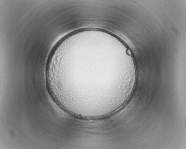 X0000115740980200911251956