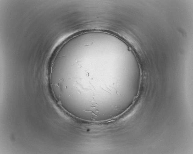 X0000115740981200911251956