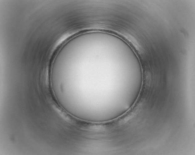 X0000115740982200911251956