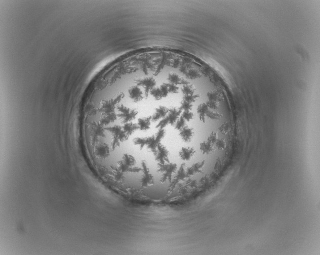 X0000115740983200911251956