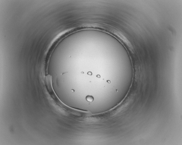 X0000115740984200911251956