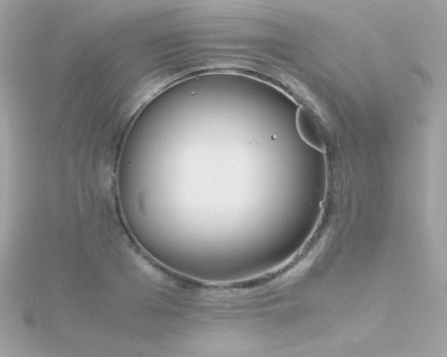 X0000115740985200911251956