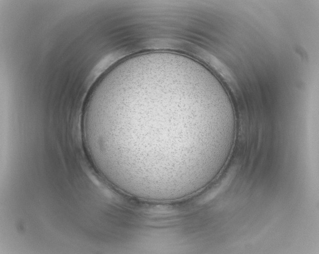 X0000115740986200911251956