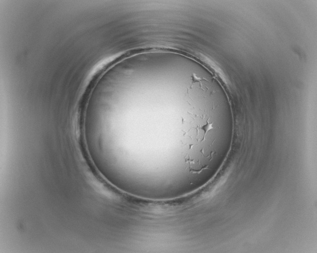 X0000115740987200911251956