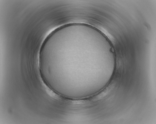 X0000115740988200911251956