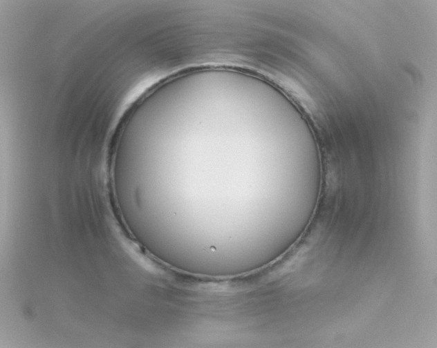 X0000115740990200911251956