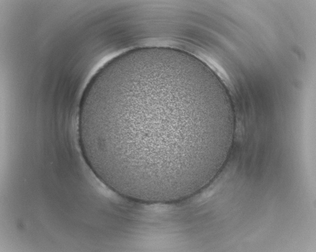 X0000115740992200911251956