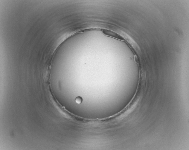 X0000115740993200911251956