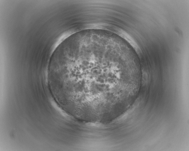 X0000115740994200911251956