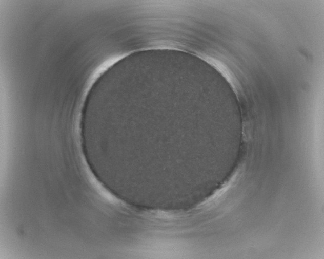 X0000115740995200911251956