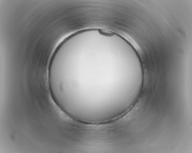 X0000115740996200911251956