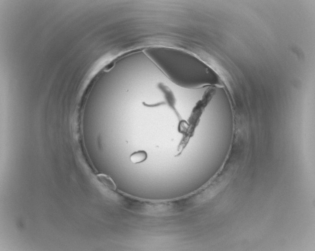 X0000115740997200911251955