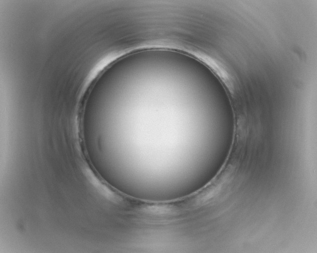 X0000115740998200911251955