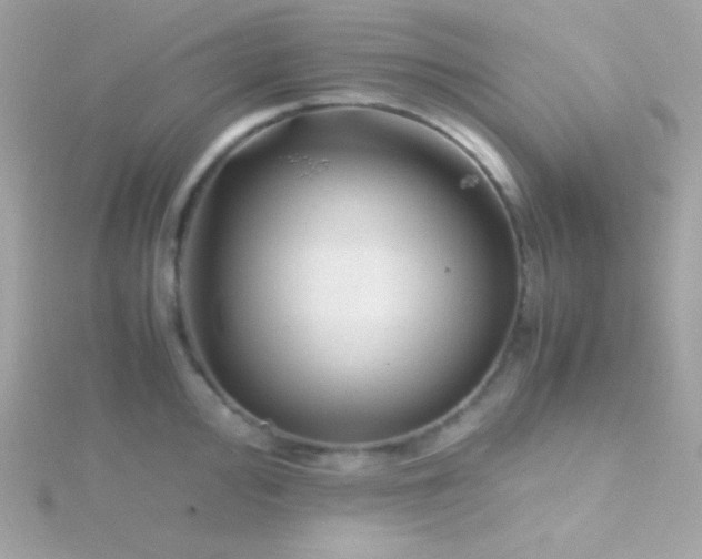 X0000115741000200911251955