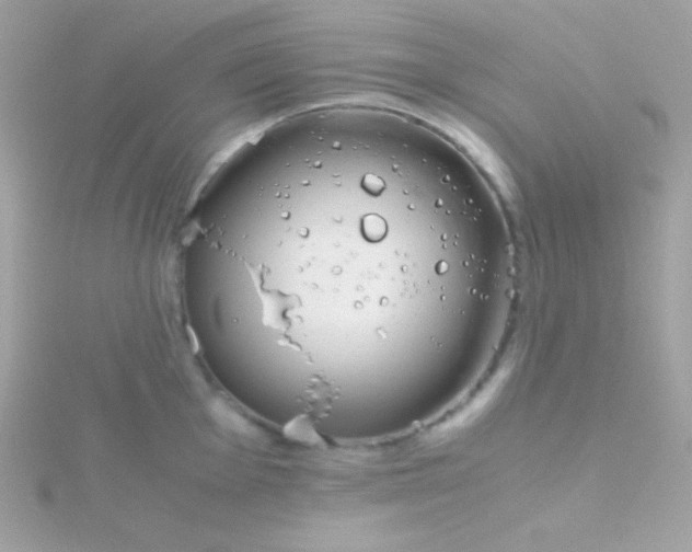 X0000115741001200911251955