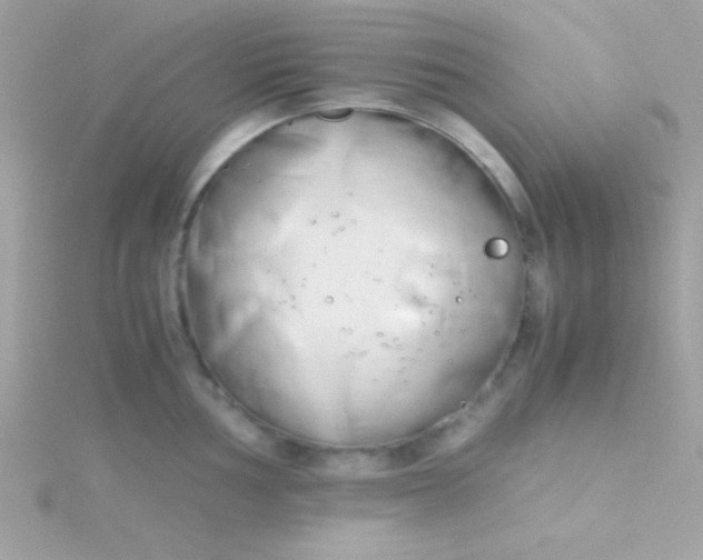 X0000115741002200911251955