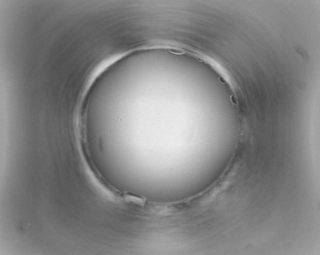 X0000115741003200911251955