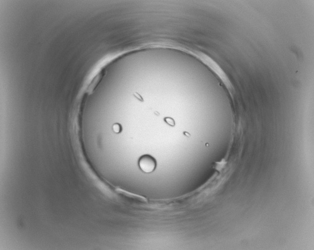 X0000115741005200911251955