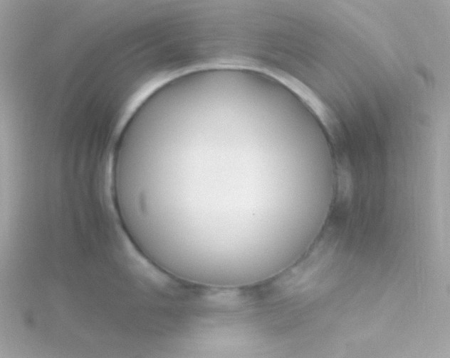 X0000115741006200911251955