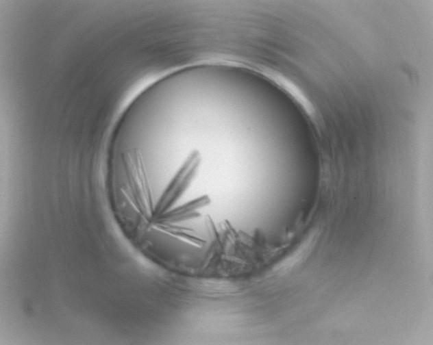 X0000115741007200911251955