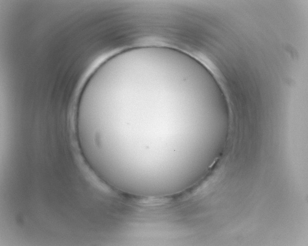 X0000115741008200911251955