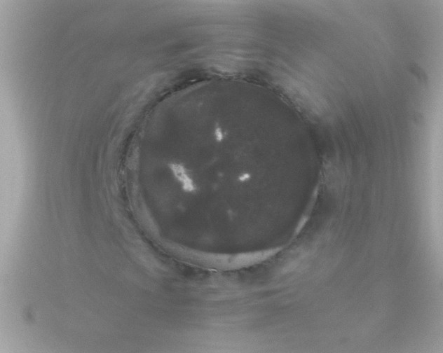 X0000115741009200911251955