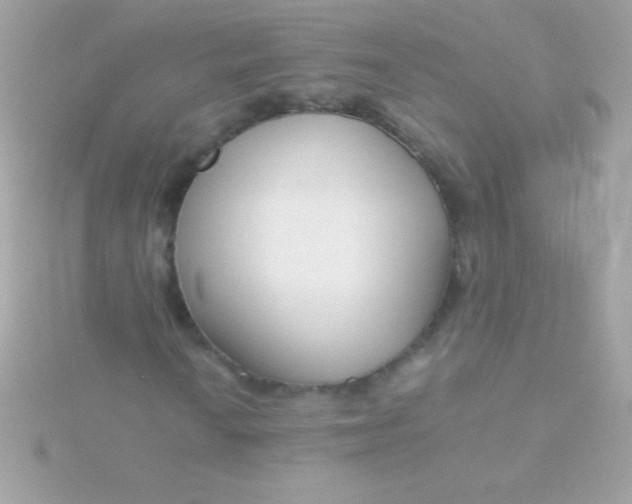 X0000115741010200911251955