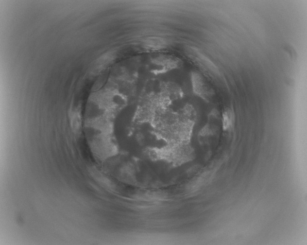 X0000115741011200911251955