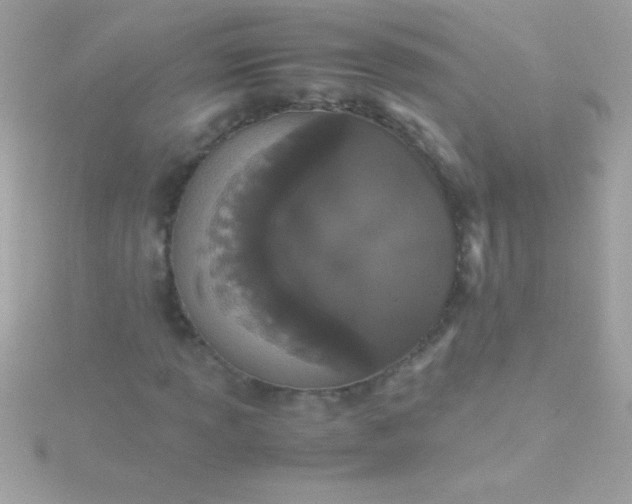 X0000115741013200911251955