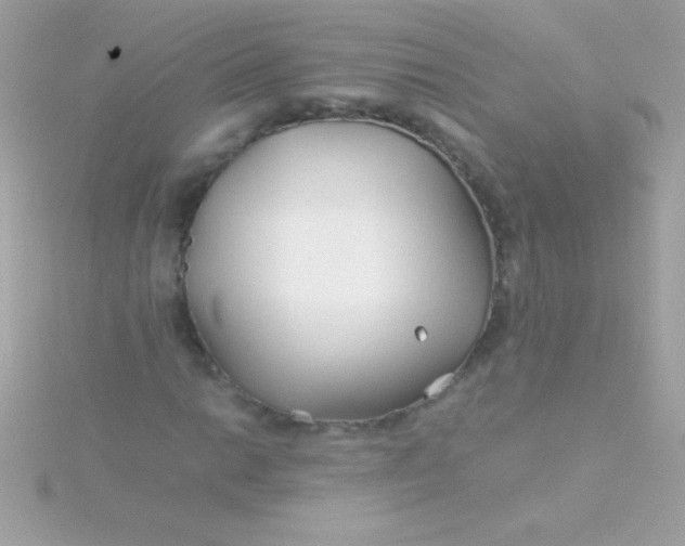 X0000115741014200911251955