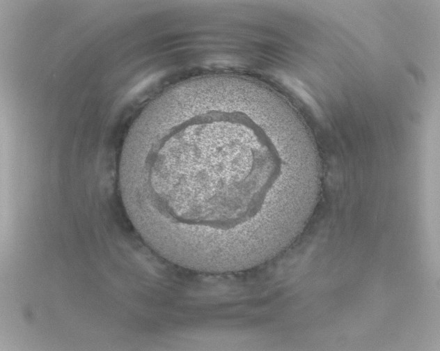 X0000115741015200911251955