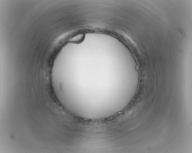 X0000115741016200911251955