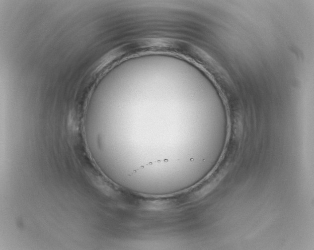 X0000115741017200911251955