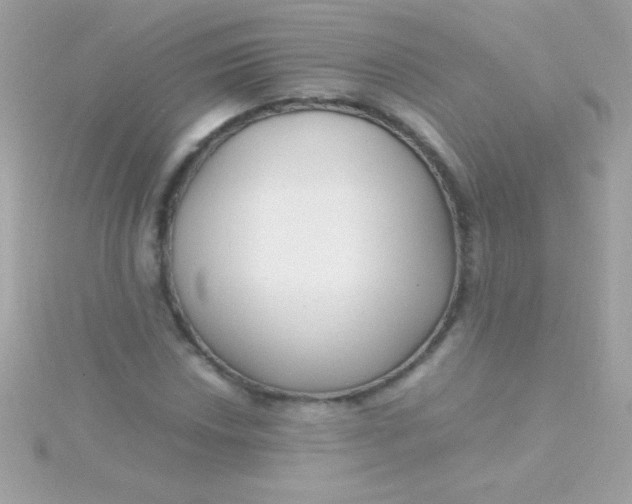 X0000115741018200911251955