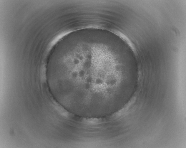 X0000115741019200911251955