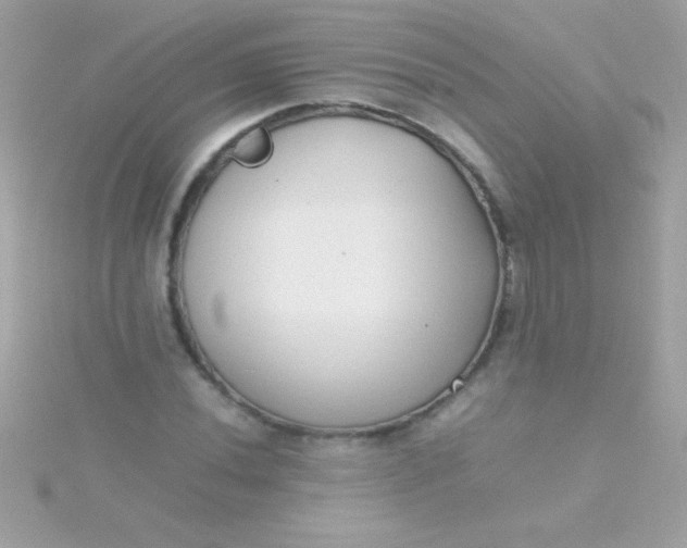 X0000115741020200911251955