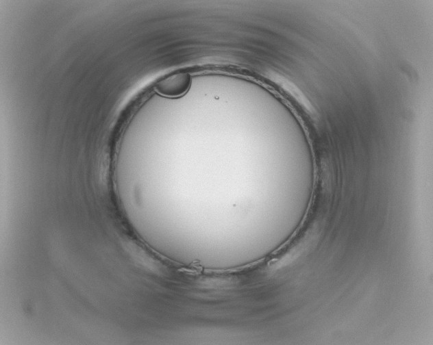 X0000115741021200911251955