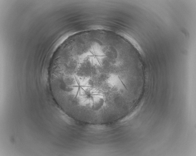 X0000115741023200911251955