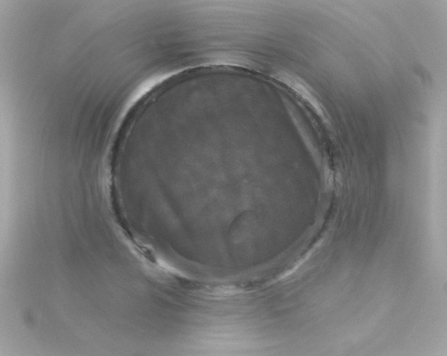 X0000115741024200911251955