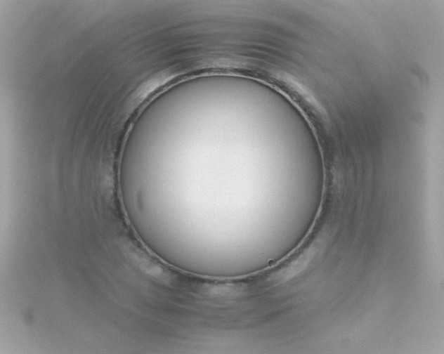 X0000115741025200911251955