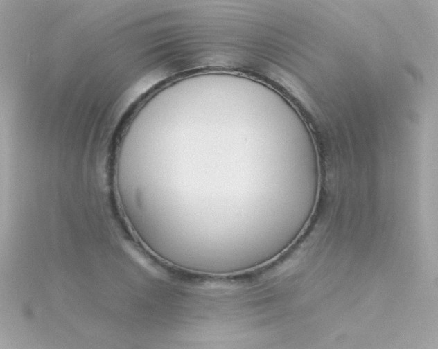 X0000115741026200911251955