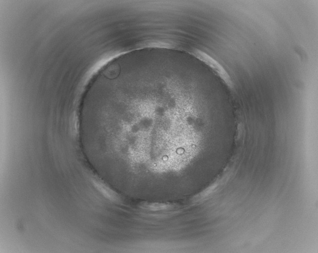 X0000115741027200911251955